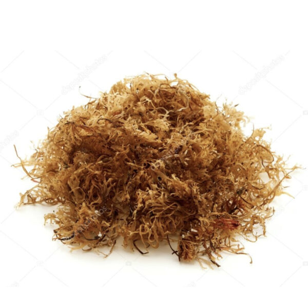 Sea Moss Supplement - Obea Moore