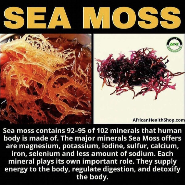 Sea Moss Supplement - Obea Moore