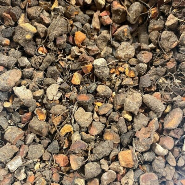 Cut Bloodroot