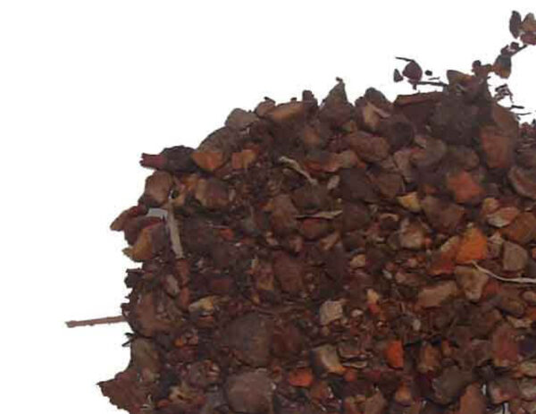 Cut Bloodroot - Image 3
